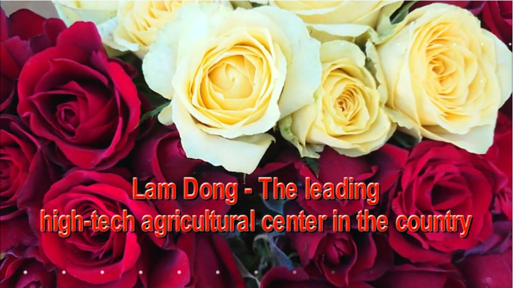Lam Dong – The leading high – tech agicutural center in the country